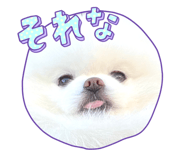661255357