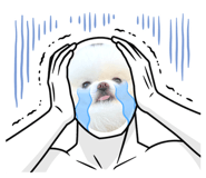 661255360
