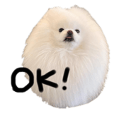 661255365