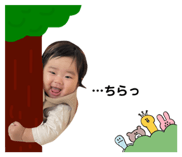 661272433