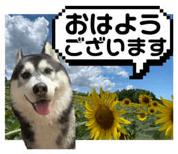 661274443