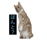 661345801