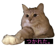 661345803