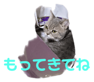 661350491