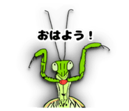661659594