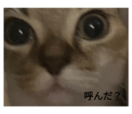 661724530