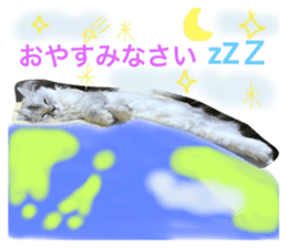 66173885