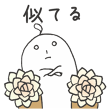 66175062
