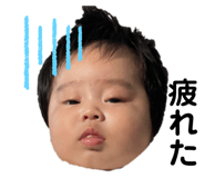661780520