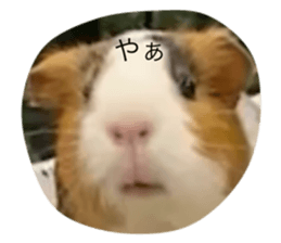661782331