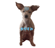 661783388