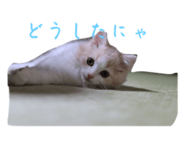 661785693