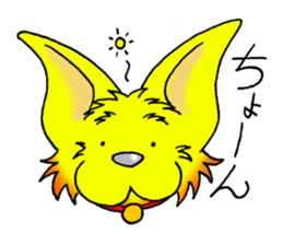 6618017