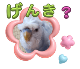 661821346