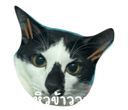 661834421