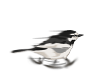 661852866