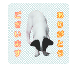 661874870