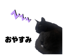 661987144