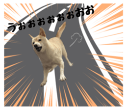 662010158