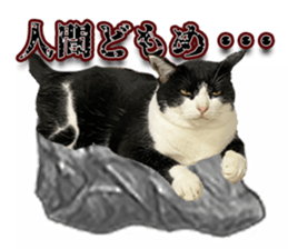 662013661