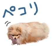 662013763