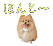 662013764