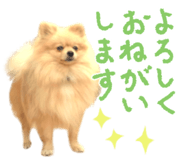 662013766