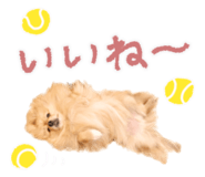 662013770