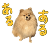662013771