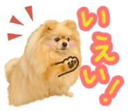 662013772