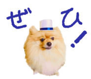 662013777
