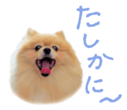 662013778