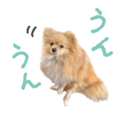 662013780