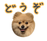 662013783