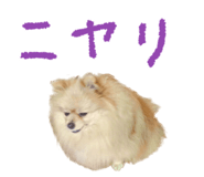 662013790