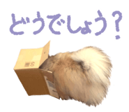 662013791
