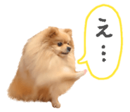 662013792