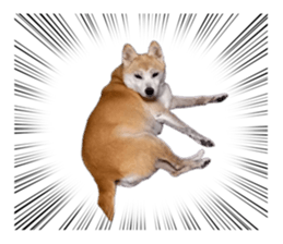 662018331