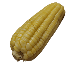 662047566