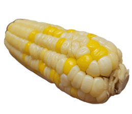 662047573