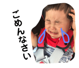 66205053