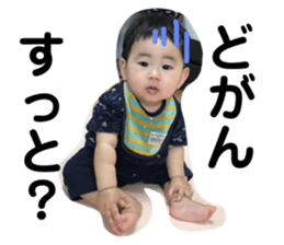66205057