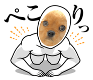 662063050
