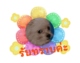 662077377