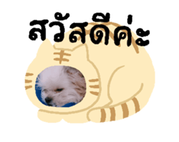 662077380