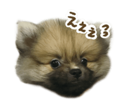 662095654