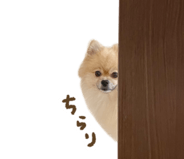 662095665
