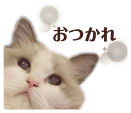 662106926