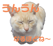 662160110