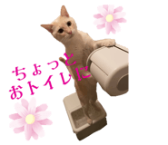662160113
